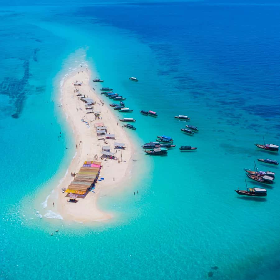 Nakupenda Sandbank Excursion - image 6