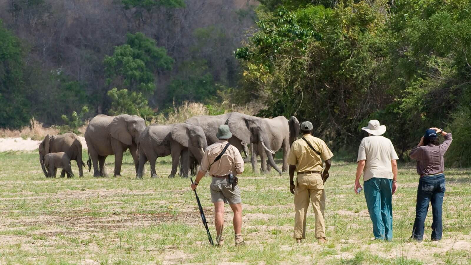 Serengeti & Ngorongoro Safari - image 1